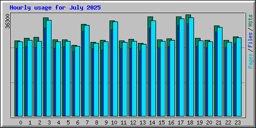 Hourly usage for July 2025