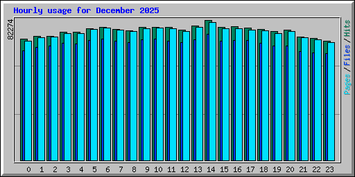 Hourly usage for December 2025